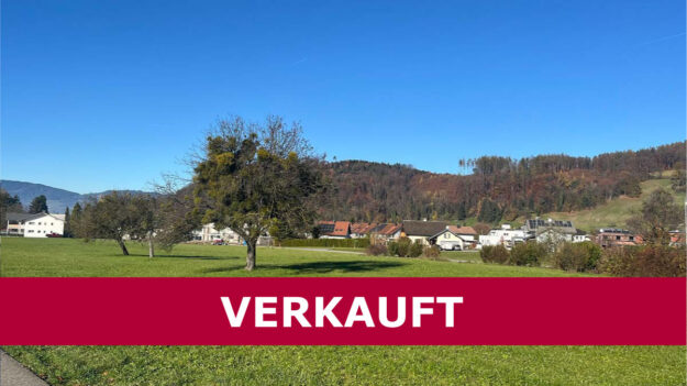 Baugründe in variabler Größe in Klaus - Amann Immobilien - VERKAJFT