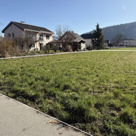Baugrundstück in ruhiger Wohngegend in Feldkirch - Amann Immobilien