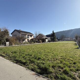 Baugrundstück in ruhiger Wohngegend - Feldkirch - Amann Immobilien