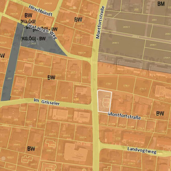 Einfamilienhaus in Rankweil - Flächenwidmungsplan - Amann Immobilien