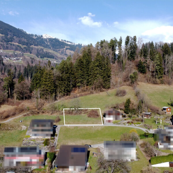 Grundstück mit herrlichem Panorama in Ludesch - Amann Immobilien