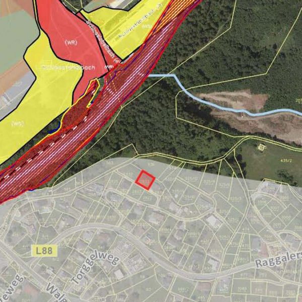 Grundstück mit herrlichem Panorama in Ludesch - Gefahrenzonenplan - Amann Immobilien