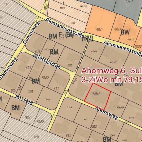 Attraktive 3-Zi-Gartenwohnung in ruhiger Lage - Sulz - Flächenwidmungsplan - Amann Immobilien