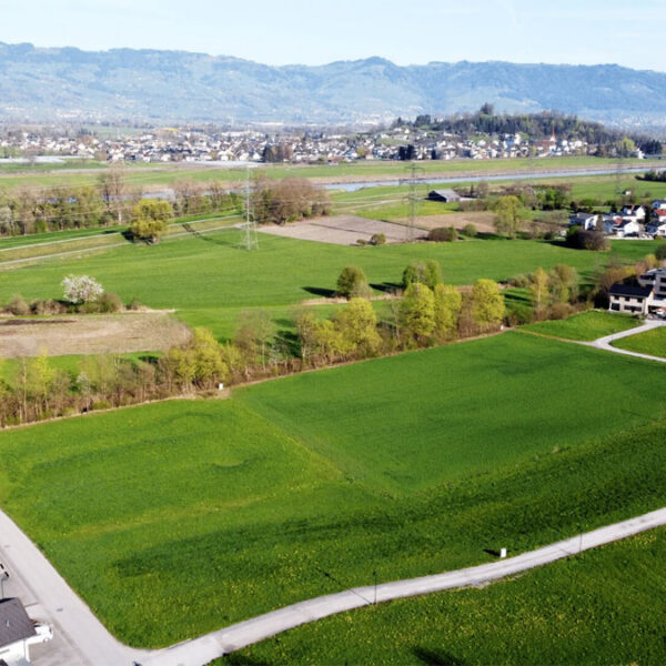 Baugrundstücke in Koblach - Amann Immobilien