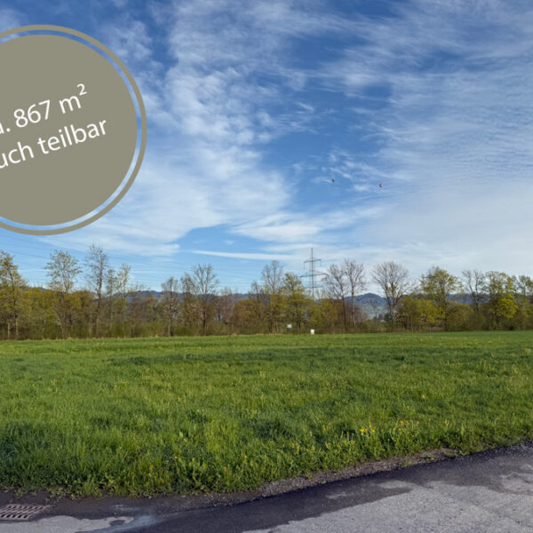 Baugrundstücke in Koblach - 867 m2 (auch teilbar) - Amann Immobilien