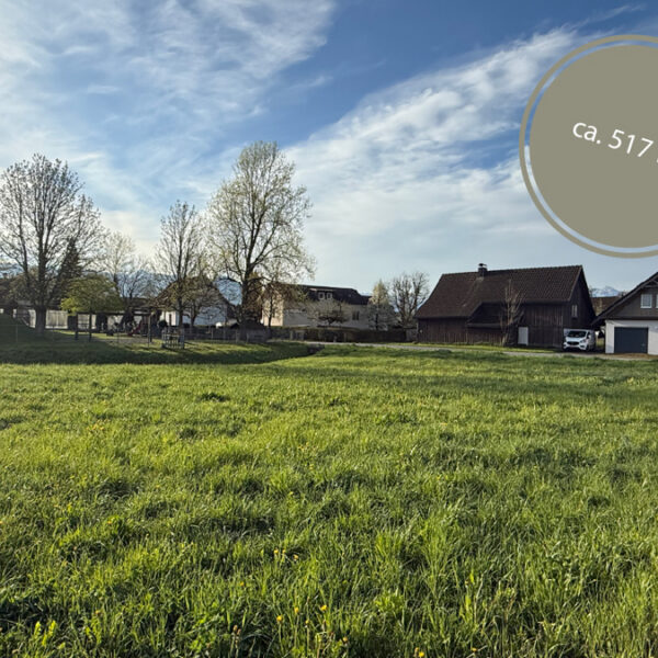 Baugrundstücke in Koblach - 517 m2 - Amann Immobilien