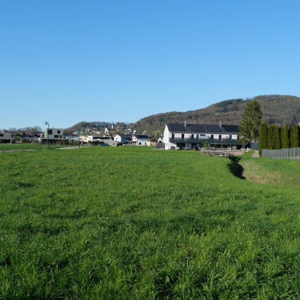 Baugrundstücke in Koblach - 517 m2 - Amann Immobilien
