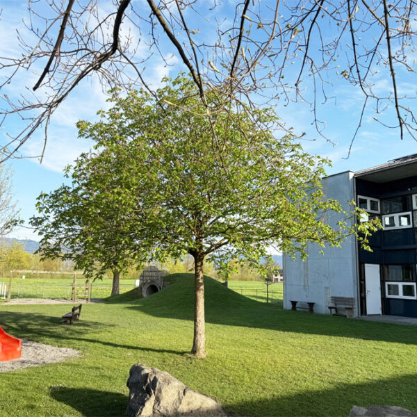 Baugrundstücke in Koblach - Kindergarten - Amann Immobilien