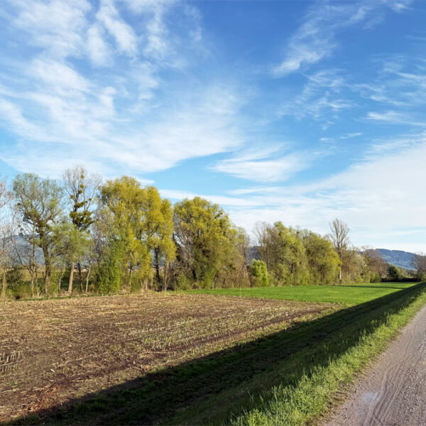 Baugrundstücke in Koblach - naturnahe Lage - Amann Immobilien
