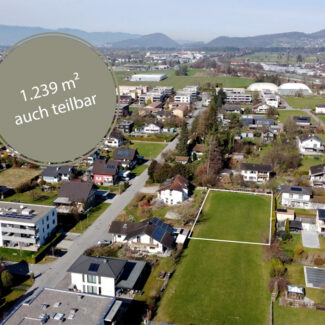 Baugrund in variablen Größen in Feldkirch-Altenstadt - 1.239 m2 - Amann Immobilien