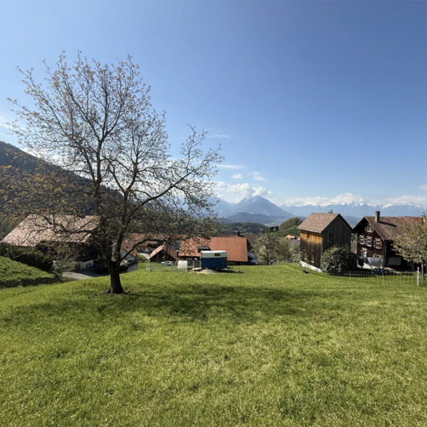 Baugrund mit Panorama in Fraxern - Amann Immobilien