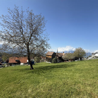 Baugrund mit Panorama in Fraxern - Amann Immobilien