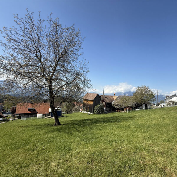 Baugrund mit Panorama in Fraxern - Amann Immobilien