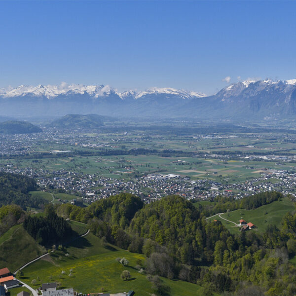 Baugrund mit Panorama in Fraxern - Amann Immobilien