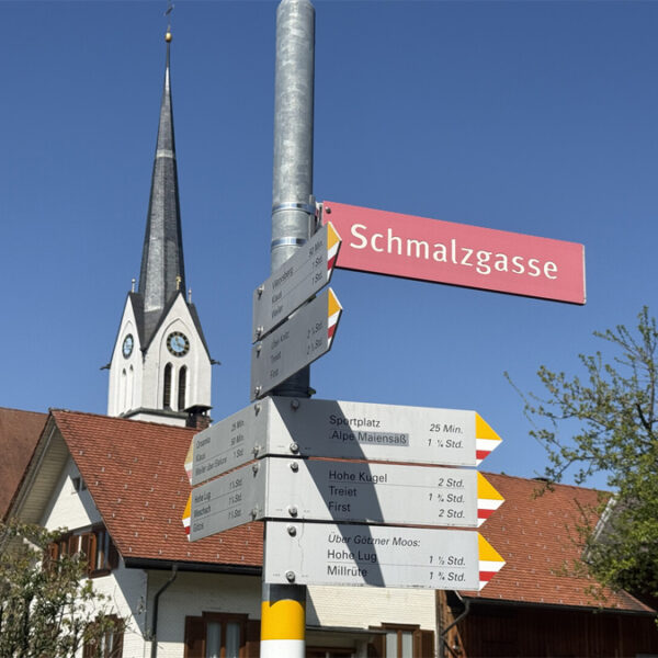 Baugrund mit Panorama in Fraxern - Amann Immobilien