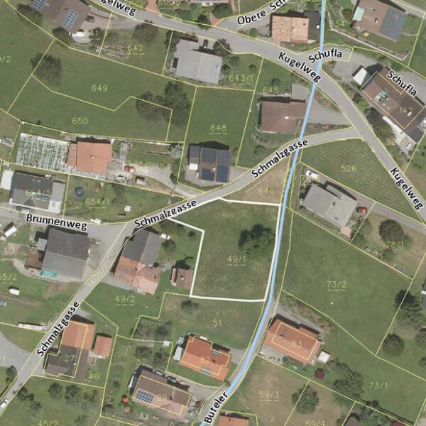 Baugrund mit Panorama in Fraxern - Katasterplan - Amann Immobilien