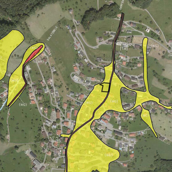 Baugrund mit Panorama in Fraxern - Gefahrenzonenplan - Amann Immobilien