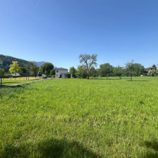 Grundstücke in bester Wohnlage - Feldkirch-Gisingen - Amann Immobilien