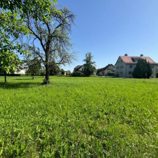 Grundstücke in bester Wohnlage - Feldkirch-Gisingen - Amann Immobilien