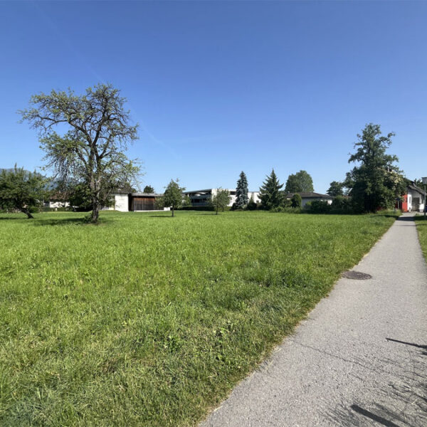 Grundstücke in bester Wohnlage - Feldkirch-Gisingen - Amann Immobilien