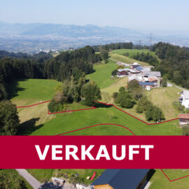 Landwirtschaftliche Liegenschaft in Bildstein - VERKAUFT - Amann Immobilien