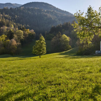 Traumhafte Grundstücke in Nüziders - Amann Immobilien