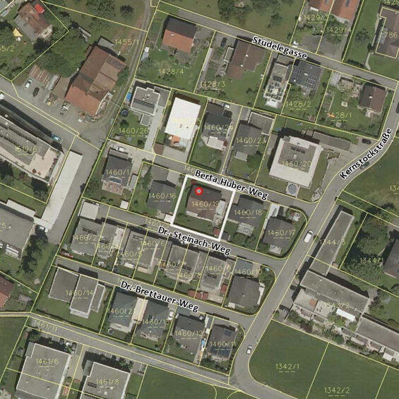 Einfamilienhaus in zentraler Lage in Hohenems - Katasterplan - Amann Immobilien