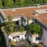 Stadtnahe Dachgeschosswohnung - Feldkirch - Terrasse - Amann Immobilien