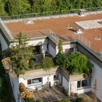 Stadtnahe Dachgeschosswohnung - Feldkirch - Terrasse - Amann Immobilien