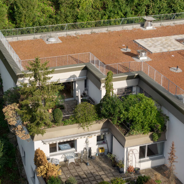 Stadtnahe Dachgeschosswohnung - Feldkirch - Terrasse - Amann Immobilien